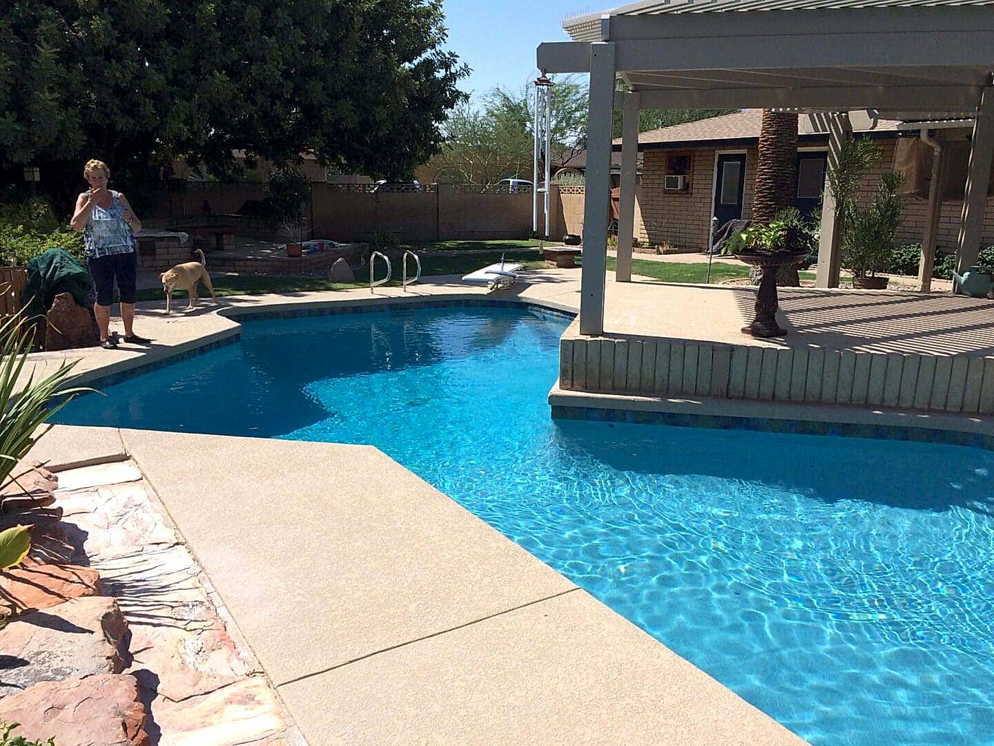 Woman, dog, and backyard swimming pool.